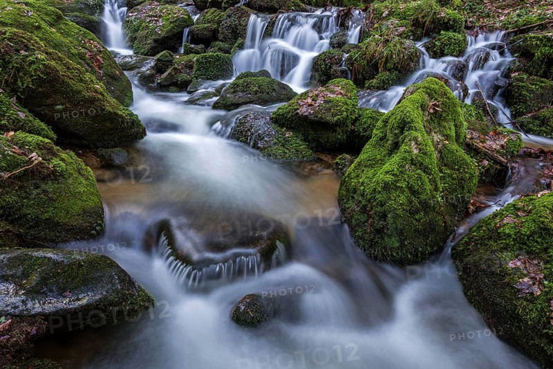Gertelbach, Gertelbach Waterfalls, Gertelbach Falls, Gertelbach Gorge, Bühl, Bühlertal, Northern Black Forest, Black Forest, Baden-Württemberg, Germany, Europe