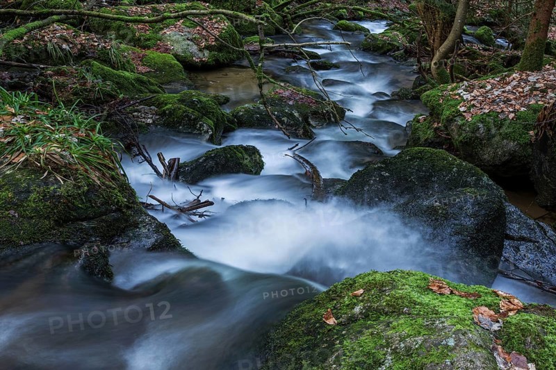 Gertelbach, Gertelbach Waterfalls, Gertelbach Falls, Gertelbach Gorge, Bühl, Bühlertal, Northern Black Forest, Black Forest, Baden-Württemberg, Germany, Europe