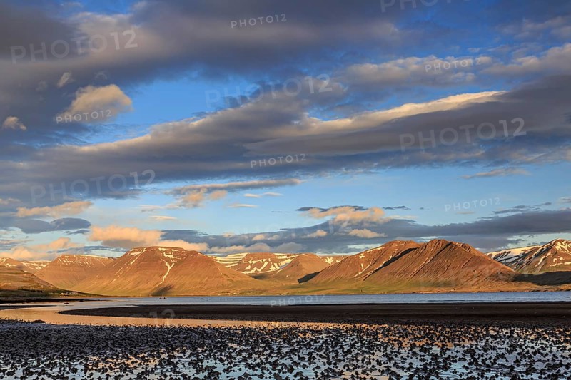 Fjord, low tide, stones, mountains, evening light, cloudy mood, Thingeyri, Westfjords, Iceland, Europe
