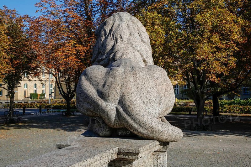 Resting lion made of granite on the terraced base of the equestrian statue of Emperor Wilhelm I on Karlsplatz, back, from behind, buttocks, historical square, sculpture, large sculpture, equestrian monument by Professor Wilhelm von Rümann and Professor Friedrich Ritter von Thiersch, art in public space, behind Old Palace, Württemberg State Museum, historical building, architecture, state capital, Stuttgart, Baden-Württemberg, Germany, Europe