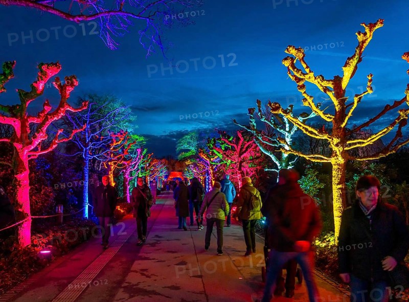 Parkleuchten, event in winter, in the Grugapark in Essen, many different light installations, across the park, attract many thousands of visitors, North Rhine-Westphalia, Germany, Europe
