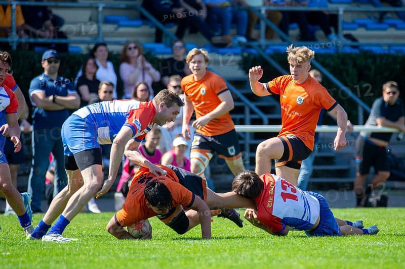 Rugby 1st Bundesliga South/West, Season 2024/25, Matchday 10: RG Heidelberg vs Heidelberger Ruderklub 1872