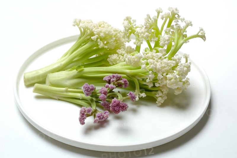 Fioretto, a cross between cauliflower and broccoli. The flowers are reminiscent of coral, vegetables