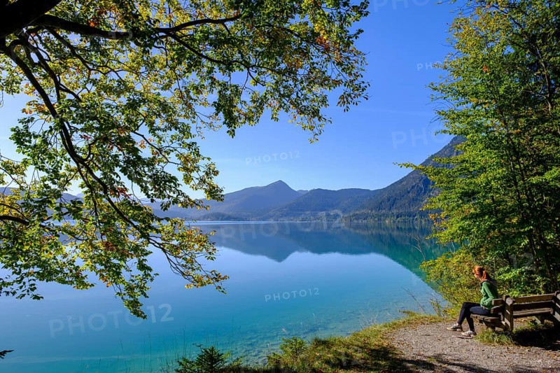 Walchensee near Sachenbach, Jachenau, Upper Bavaria, Bavaria, Germany, Europe