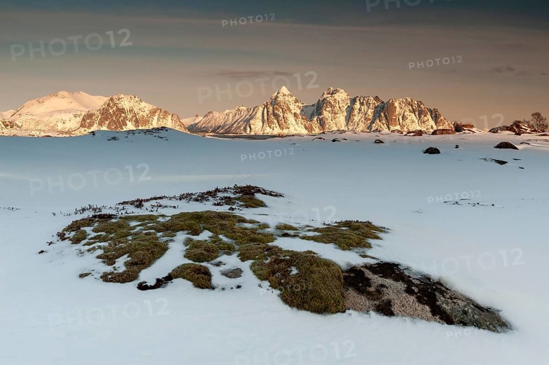 Winter landscape, Rugged mountains, Lofoten island Vestvågøya at the fjord Gimsøystraumen, Lofoten, Northern Norway, Norway, Europe