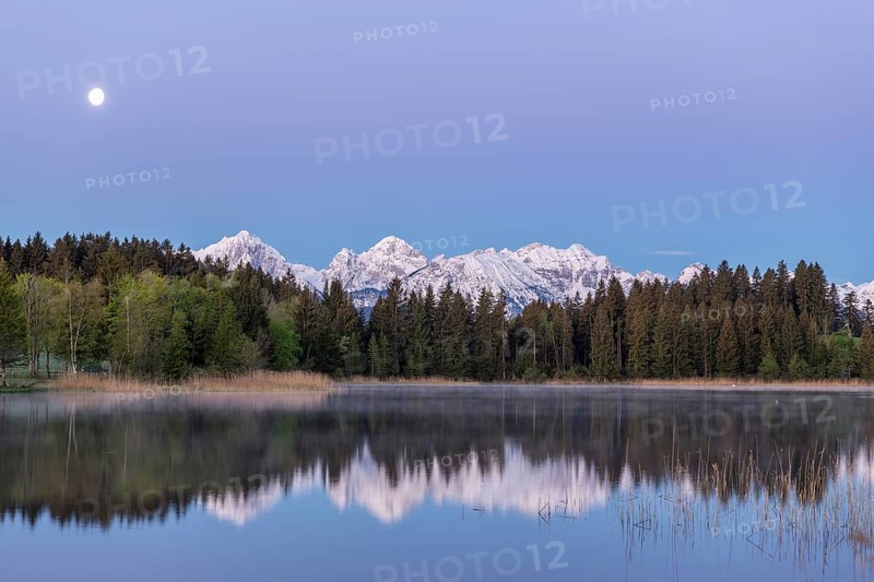 Hegratsrieder See near Füssen, Allgäu Alps, snow, moon, dawn, Allgäu, Bavaria, Germany, Europe
