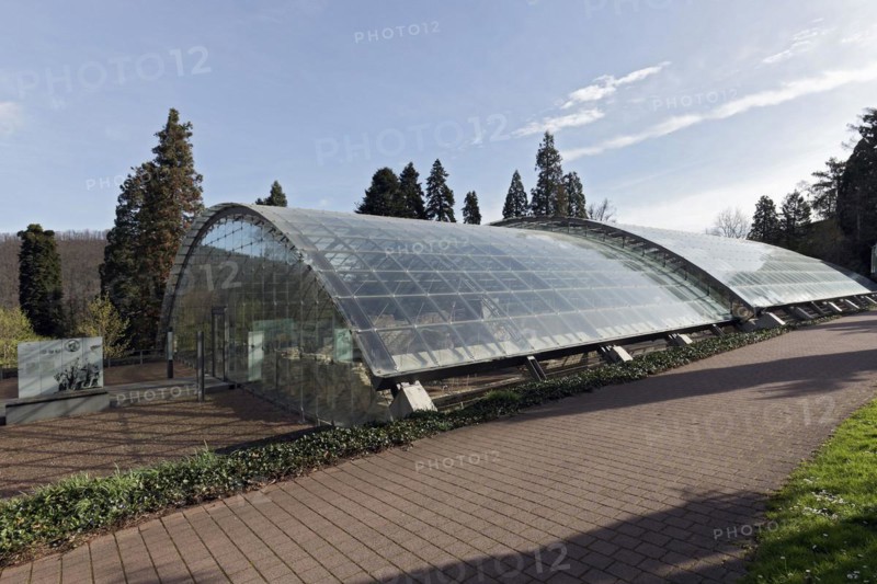 Roman bath ruins with glass canopy, spa town of Badenweiler, Black Forest, Markgräflerland, Baden-Württemberg, Germany, Europe