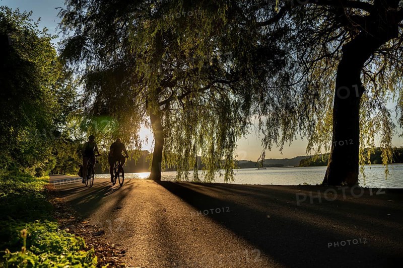 Cycling on Lake Baldeney, around 14 kilometres around the Ruhr reservoir, summer evening on the eastern shore, Essen, North Rhine-Westphalia, Germany, Europe