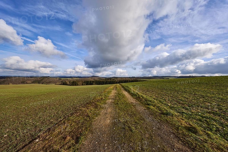 Agriculture, fields, hilly landscape, coniferous forest, landscape, landscape photography, blue sky, cumulus clouds, cirrostratus clouds, dirt road, Dreis-Brück, Eifel, Vulkaneifel district, Rhineland-Palatinate, Germany, Europe