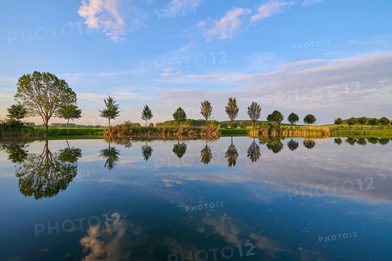 Lake in spring with row of trees and reflection, Drei Gleichen, Ilm-Kreis, Thuringia, Germany, Europe