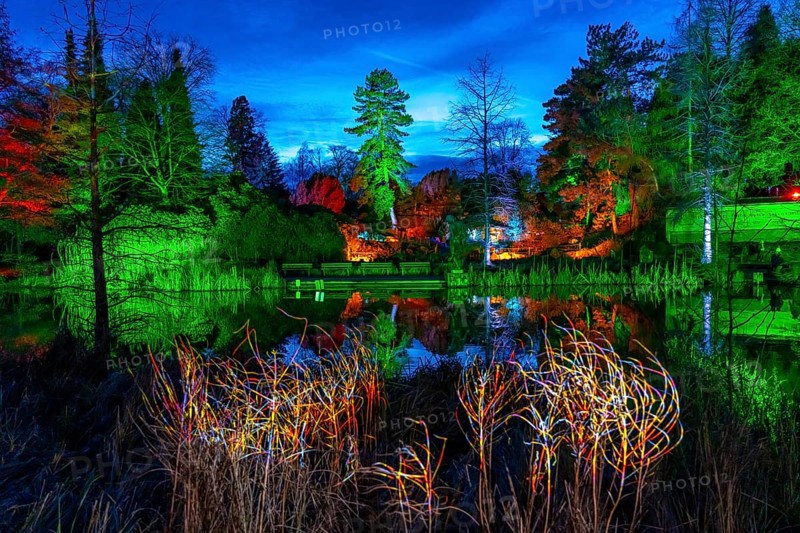 Parkleuchten, event in winter, in the Grugapark in Essen, many different light installations, across the park, attract many thousands of visitors, North Rhine-Westphalia, Germany, Europe