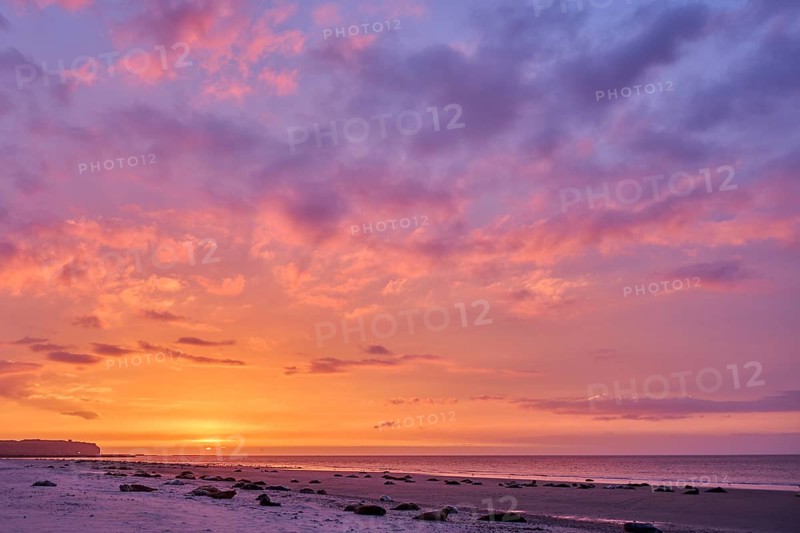 Colorful sunset on the beach with Grey seal (Halichoerus grypus) lying lying on it, Düne, Helgoland, Schleswig-Holstein, Germany, Europe