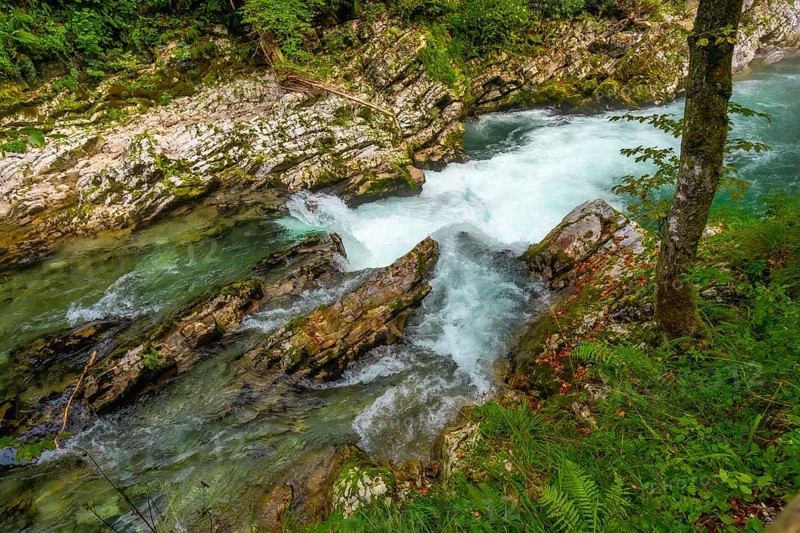 Turquoise water of radovna river rapids in vintgar gorge, a popular tourist destination near bled, slovenia