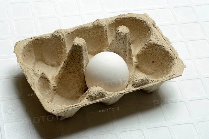 An egg in packaging, hen's egg, egg shortage