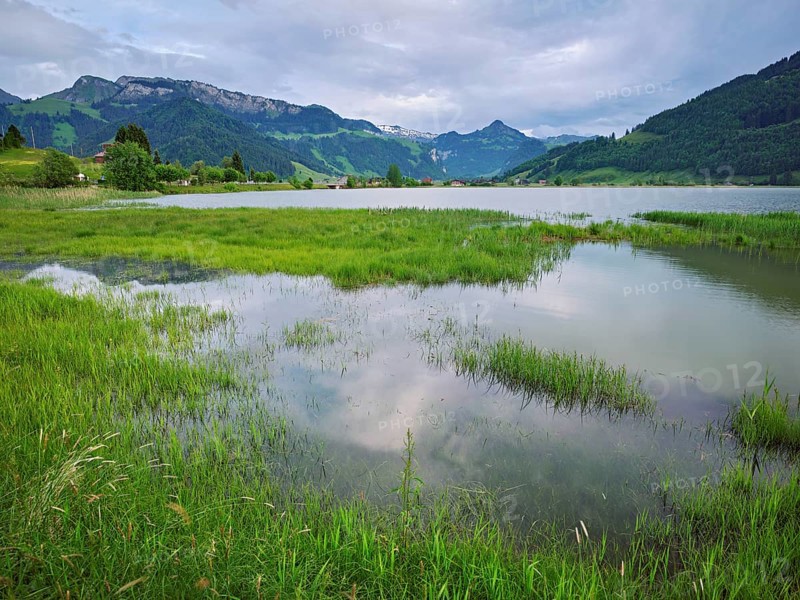 Reservoir, Sihlsee, Euthal, Canton Schwyz, Switzerland, Europe
