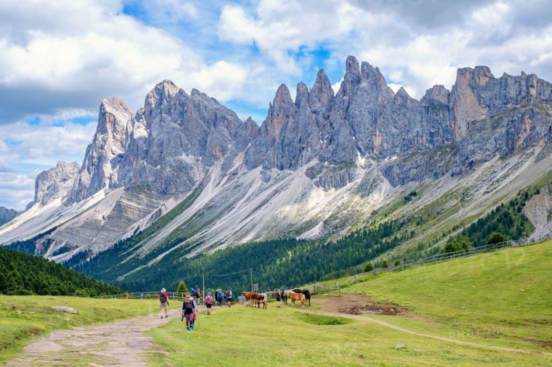 Hikers on a path at a alp meadow at the mighty Odle Group mountains in the Dolomites, Ortisei, Val Gardena, Italy, Ortisei, Val Gardena, Italy, Europe