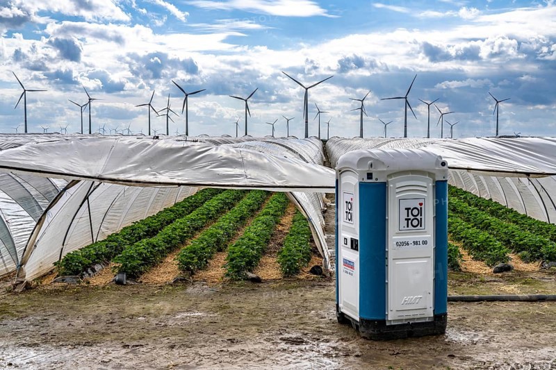 Agriculture, large areas with foil tunnel, for the cultivation of strawberries, wind farm, south of Lövenich, belongs to Erkelenz, in the district of Heinsberg, mobile loo for field workers, North Rhine-Westphalia, Germany, Europe