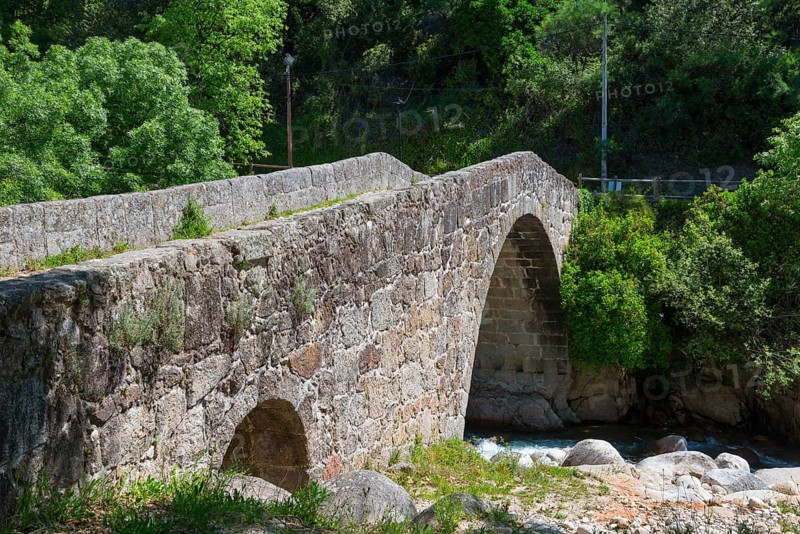 Old stone bridge over a river in a green, wooded setting under a sunny sky, Puente Parral, Roman bridge Parral, Garganta Jaranda, Jaranda Gorge, Jarandilla de la Vera, Cáceres, Caceres, Extremadura, Spain, Europe