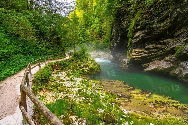 Lush vegetation surrounds a wooden walkway along the stunning emerald radovna river, flowing through vintgar gorge near bled, slovenia