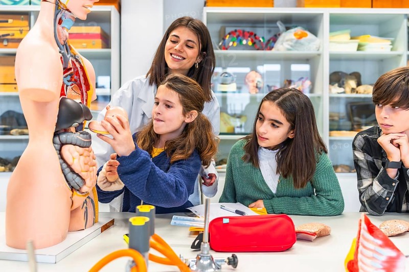 Elementary school students learning human anatomy with anatomical model in a science class supervised by a smiling teacher
