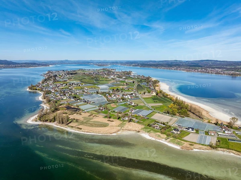 Aerial view of the island of Reichenau at low tide and spring-like vegetation, Lake Constance, district of Constance, Baden-Württemberg, Germany, Europe