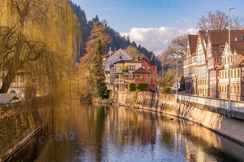 Idyllic town view with river and historic half-timbered houses in autumn, Calw in spring, Black Forest, Germany, Europe
