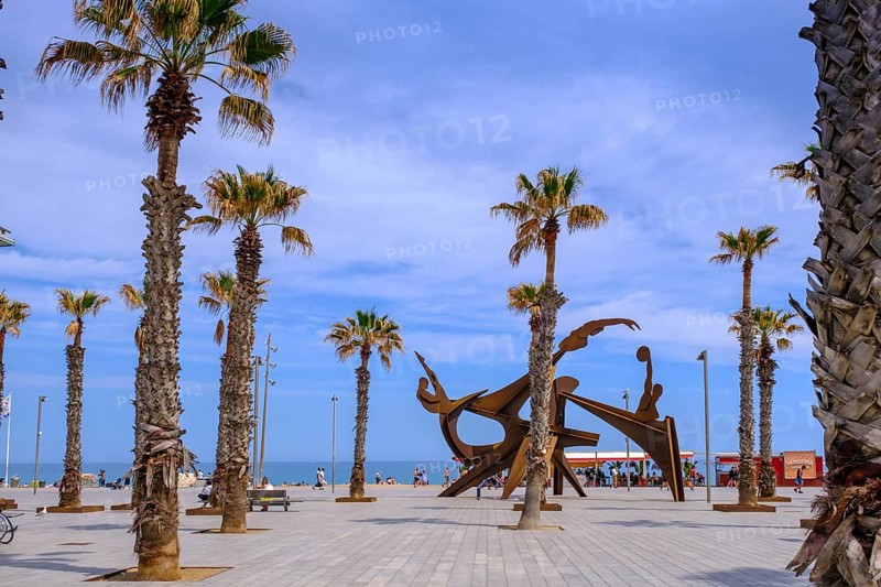 Placa del Mar, Homenatge a la Natació, Barceloneta Beach, Beach, Platja de la Barceloneta, Barcelona, Catalonia, Spain, Europe