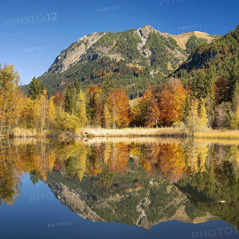Rubihorn, 1957m, Gaisalphorn, 1953m, and Schattenberg, 1845m, water reflection in the moor pond, autumn, near Oberstdorf, Oberallgäu, Allgäu, Bavaria, Germany, Europe