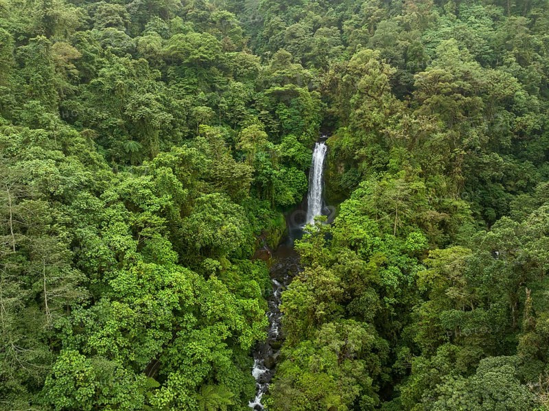 Aerial view, waterfall in the rainforest, Catarata de la Paz, La Paz Waterfall Gardens Nature Park, Alajuela Province, Costa Rica, Central America