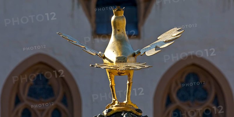 Gilded imperial eagle as a fountain eagle on the market fountain in front of the town hall, Old Town, Goslar, UNESCO World Heritage Site, Lower Saxony, Germany, Europe