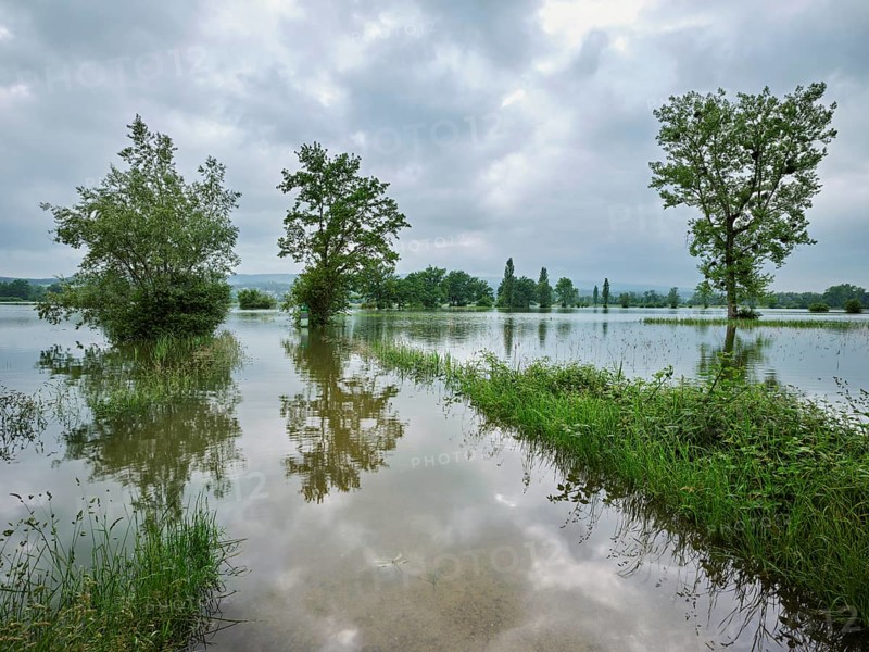 Trees standing in the flooded river Lorze, floodplain landscape, Reussspitz nature reserve, Maschwanden, Canton Zurich, Switzerland, Europe