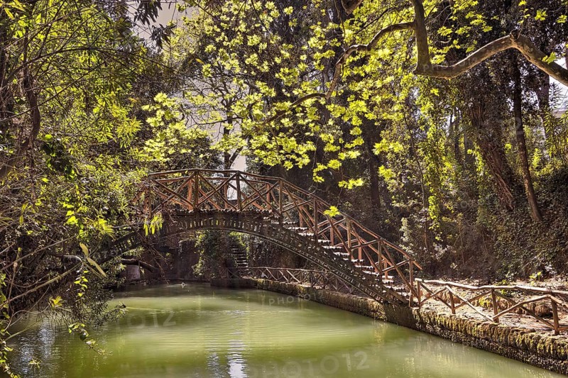 Wooden bridge over a quiet pond in the middle of a green forest, Rodini Park, City Park, Rhodes Town, Rhodes, Dodecanese, Greek Islands, Greece, Europe