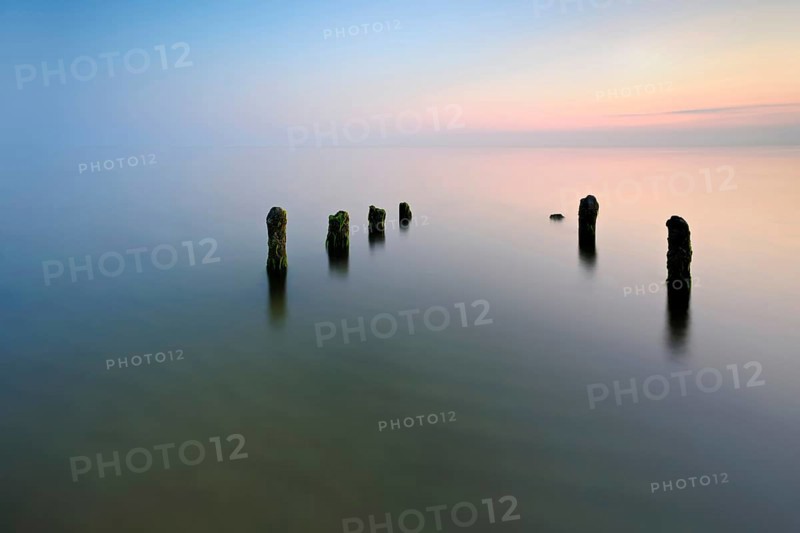 Old posts with algae in the water on the Baltic Sea beach, long exposure at sunset, Fischland-Darß-Zingst peninsula, Western Pomerania Lagoon National Park, Mecklenburg-Western Pomerania, Germany, Europe