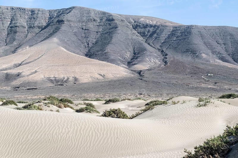 Dune landscape, Playa de Famara, Lanzarote, Canary Islands, Spain, Europe