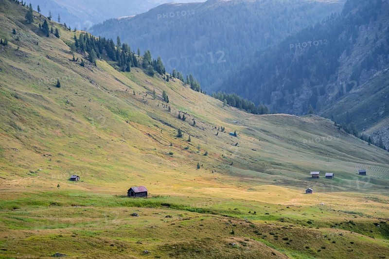 Alpine pasture landscape, Alpine meadows and huts, Carnic main ridge, Carnic High Trail, Carnic Alps, Carinthia, Austria, Europe