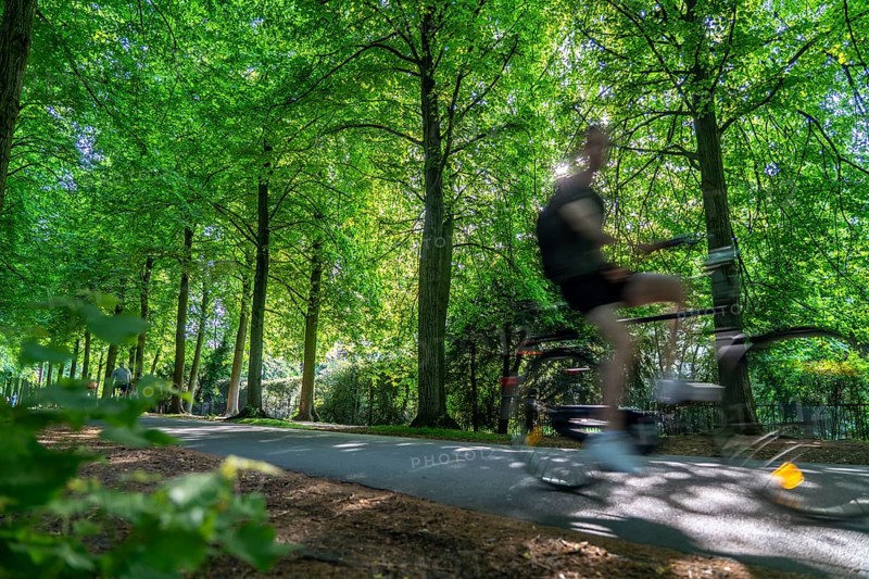 Promenade cycle path, tree-lined, car-free, approximately 4.5 km long ring road around the city centre of Münster, North Rhine-Westphalia, Germany, Europe