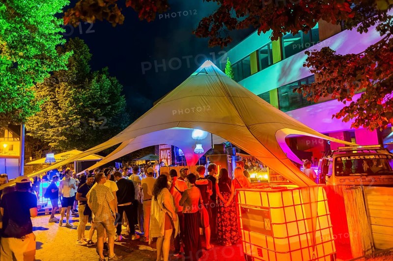 31st Elbhangfest, ElbTanzPavillon Party in front of the primary school Loschwitz, 31st Elbhangfest, Dresden, Saxony, Germany, Europe