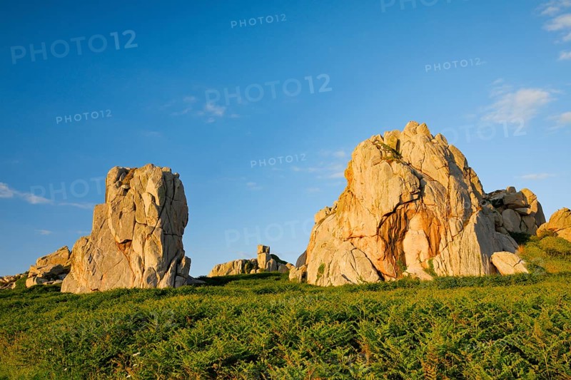Large boulders in the evening light surrounded by ferns on the Pink Granite Coast in Brittany, Pors Scaff, Côtes-d'Armor, France, Europe