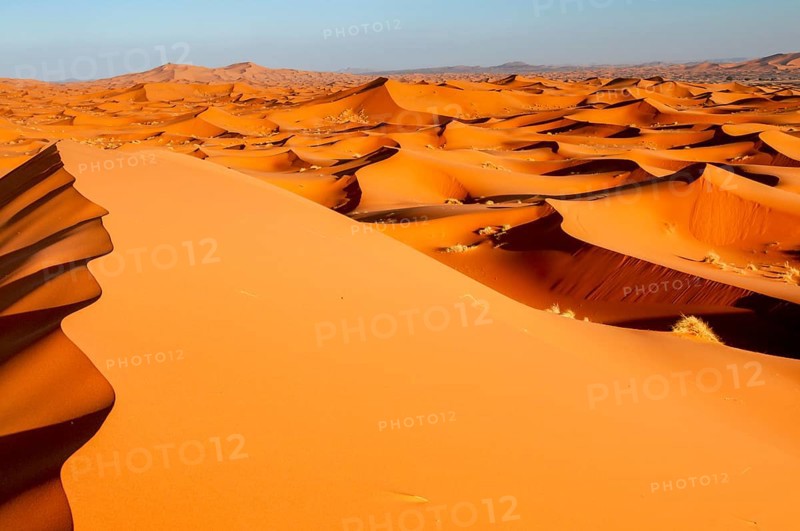 Sand dunes, Erg Chebbi, Sahara, Southern Morocco, Morocco, Africa