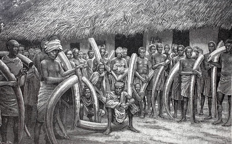 Ivory caravan arriving in Bagamoyo in Tanzania, 1895, elephant tusks, poachers, reproduction of an original, around 1900, historical