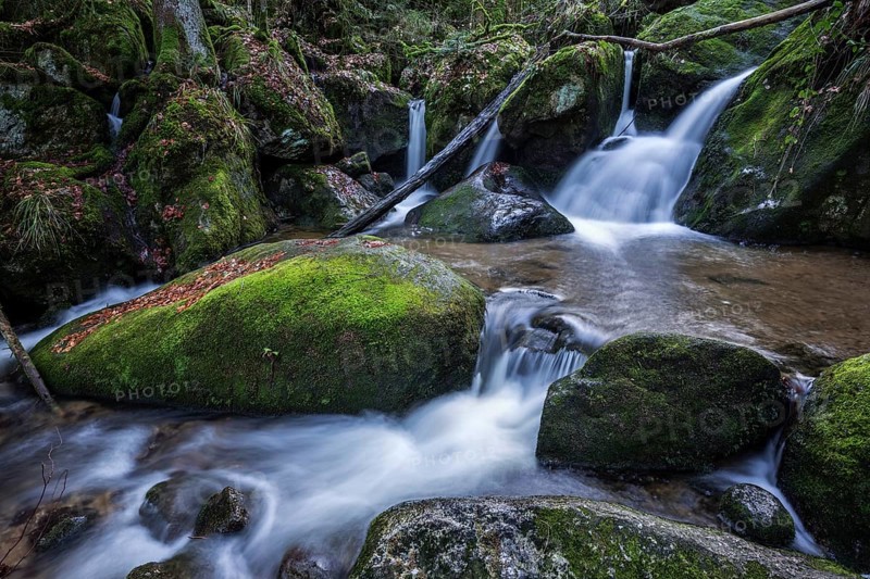Gertelbach, Gertelbach Waterfalls, Gertelbach Falls, Gertelbach Gorge, Bühl, Bühlertal, Northern Black Forest, Black Forest, Baden-Württemberg, Germany, Europe