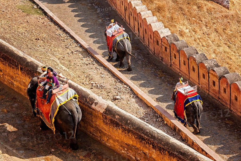 AMER, INDIA, NOVEMBER 18, 2012: Tourists riding elephants on ascend to Amer (Amber) fort, Rajasthan, India. Amer fort is famous tourist destination and landmark
