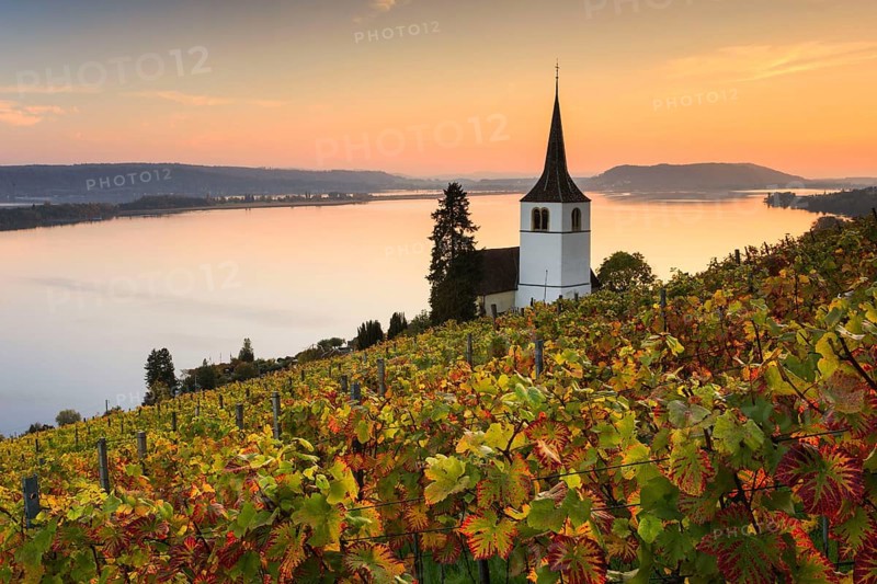 Ligerz on Lake Biel, Bern, Switzerland, Europe