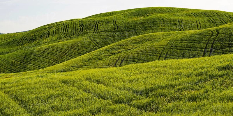 Landscape at sunrise around Pienza, Val dOrcia, Orcia Valley, UNESCO World Heritage Site, Siena Province, Tuscany, Italy, Europe