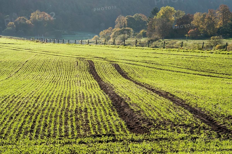Rural landscape near Gewissenruh, Wesertal, Weser Uplands, Weserbergland, Hesse, Germany, Europe