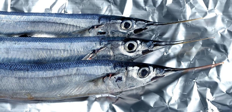 Three little needle fish, uncooked macro studio shot
