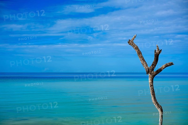 Holbox tropical Island in Quintana Roo of Mexico