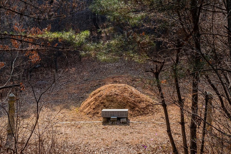 Daejeon, South Korea, April 05, 2019: Space between trees in forest opens to fresh burial mound in clearing, Asia