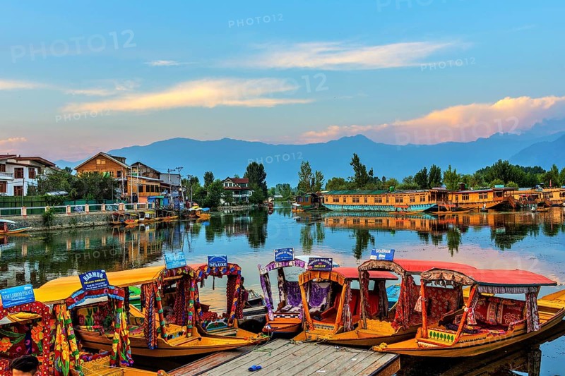 Houseboats and shikaras, Dal Lake, Srinagar, Kashmir, India, Asia