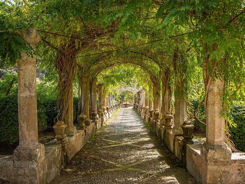 Pergola with lush green vegetation and columns lining a shady path, Jardines de Alfabia, Bunyola, Majorca, Spain, Europe